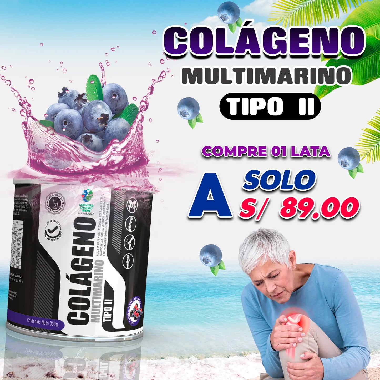 COLÁGENO MULTIMARINO TIPO II - ORISUR PERÚ